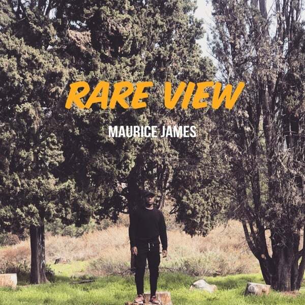 Cover art for Rare View